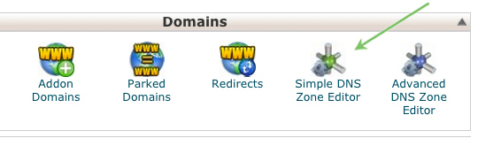 Simple DNS Zone Editor